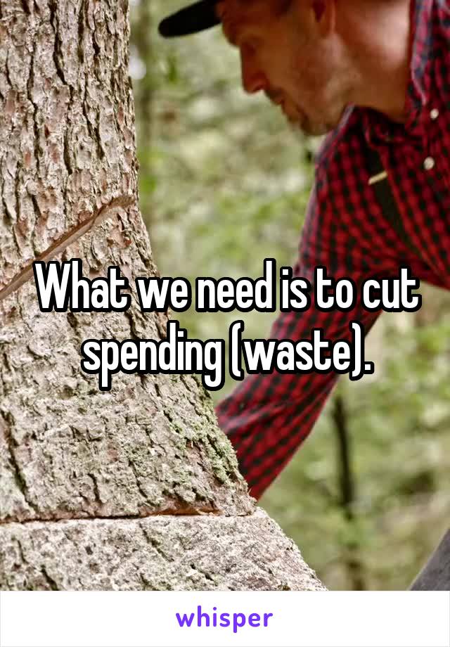 What we need is to cut spending (waste).