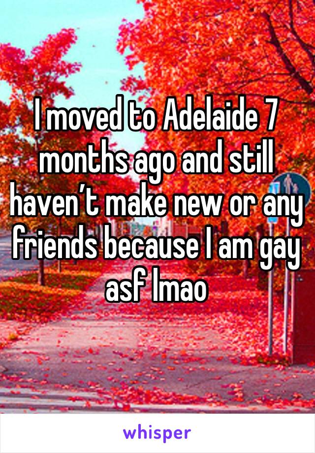 I moved to Adelaide 7 months ago and still haven’t make new or any friends because I am gay asf lmao 
