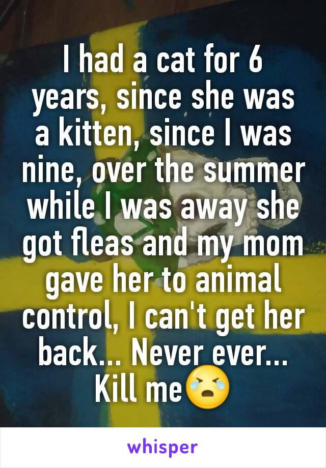 I had a cat for 6 years, since she was a kitten, since I was nine, over the summer while I was away she got fleas and my mom gave her to animal control, I can't get her back... Never ever... Kill me😭