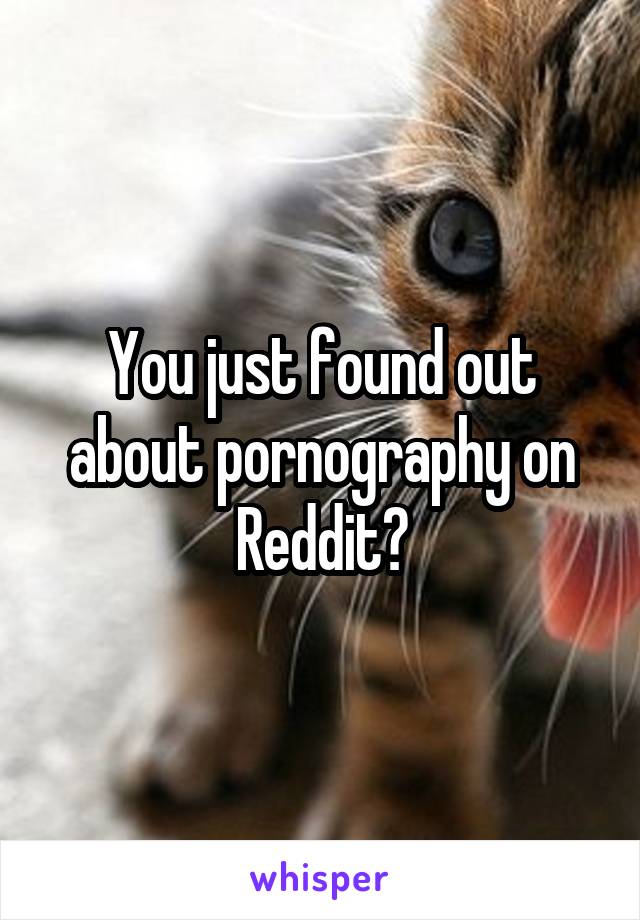 You just found out about pornography on Reddit?