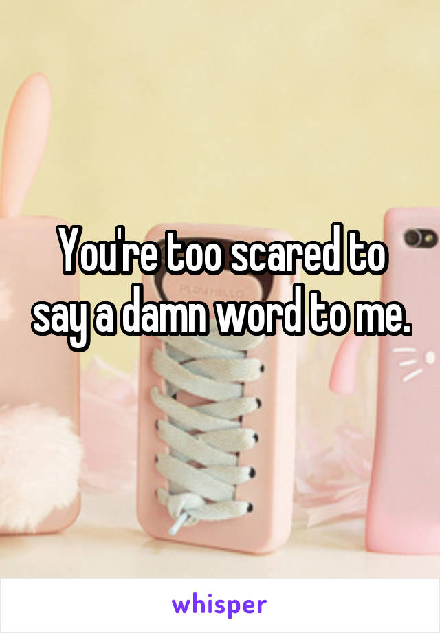 You're too scared to say a damn word to me. 