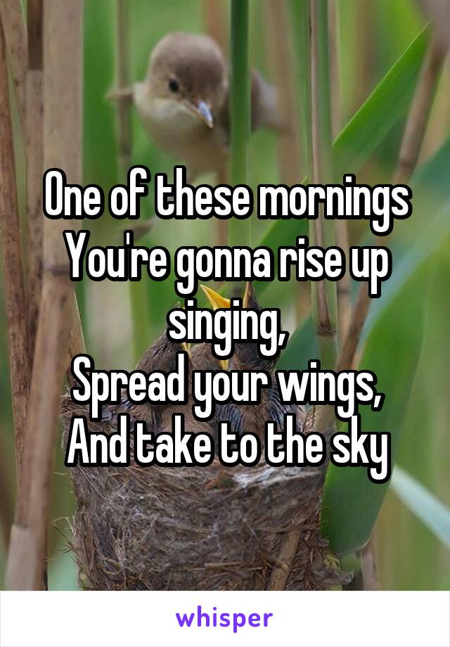 One of these mornings
You're gonna rise up singing,
Spread your wings,
And take to the sky