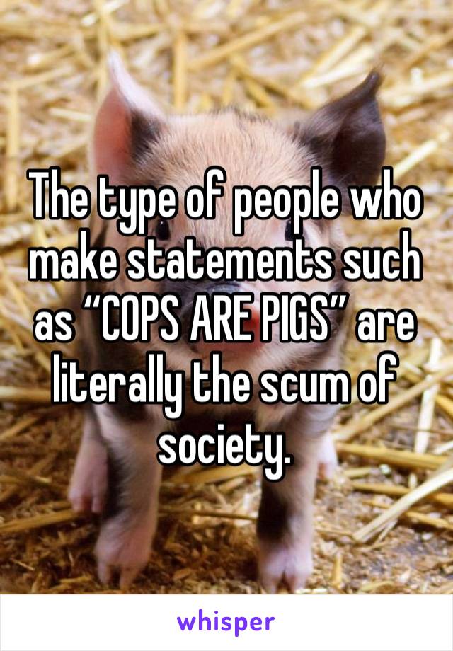 The type of people who make statements such as “COPS ARE PIGS” are literally the scum of society. 