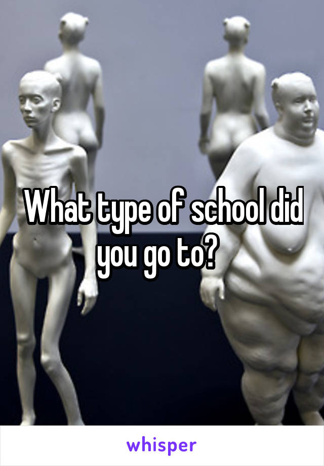 What type of school did you go to?  
