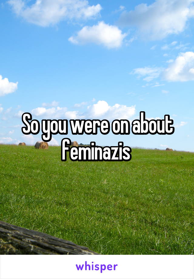 So you were on about feminazis 