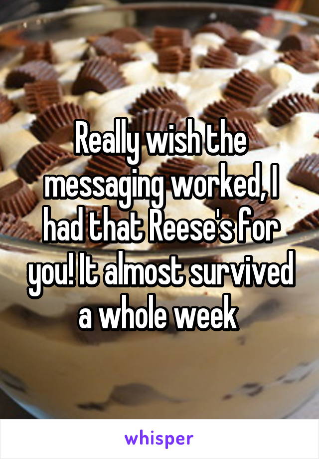 Really wish the messaging worked, I had that Reese's for you! It almost survived a whole week 