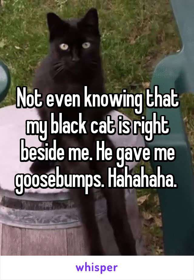 Not even knowing that my black cat is right beside me. He gave me goosebumps. Hahahaha. 