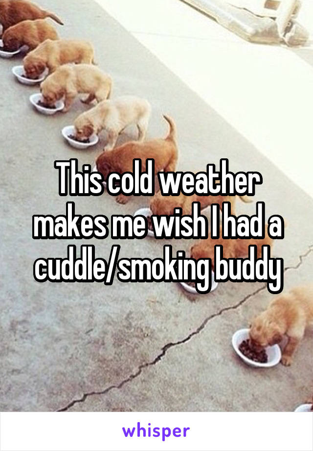 This cold weather makes me wish I had a cuddle/smoking buddy