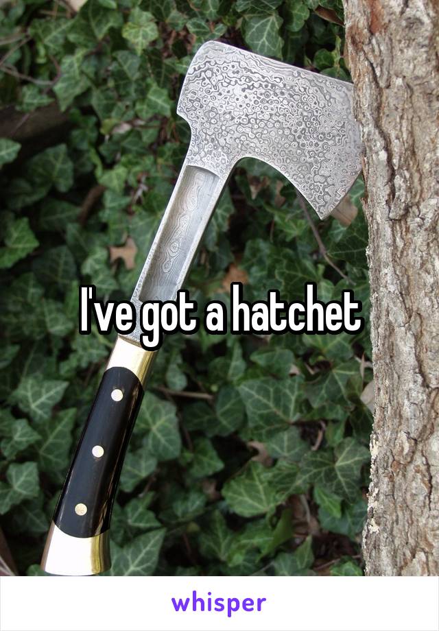 I've got a hatchet