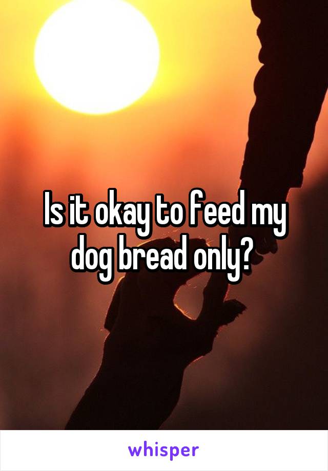 Is it okay to feed my dog bread only? 