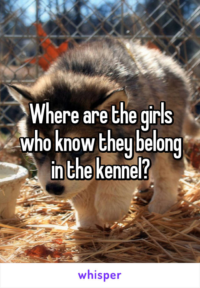 Where are the girls who know they belong in the kennel?