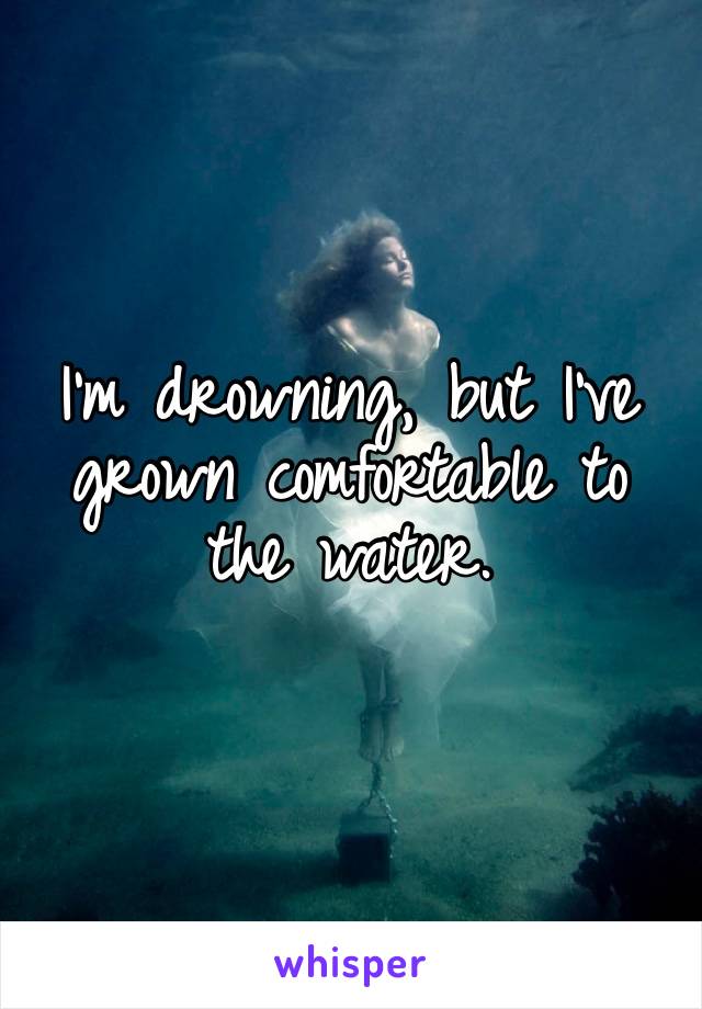 I’m drowning, but I’ve grown comfortable to the water. 