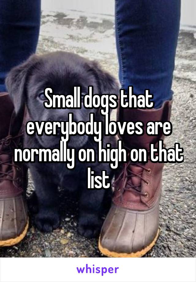 Small dogs that everybody loves are normally on high on that list