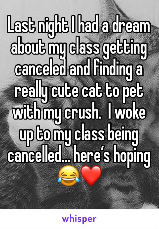 Last night I had a dream about my class getting canceled and finding a really cute cat to pet with my crush.  I woke up to my class being cancelled... here’s hoping 😂❤️