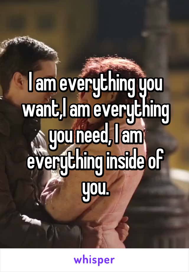 I am everything you want,I am everything you need, I am everything inside of you.