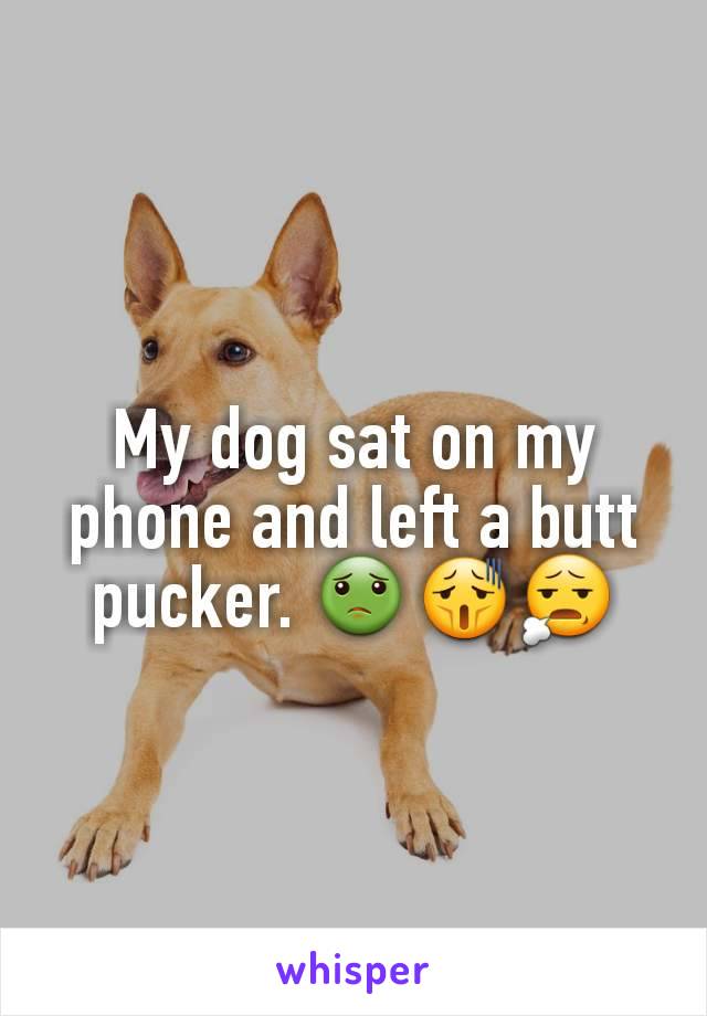 My dog sat on my phone and left a butt pucker. 🤢😫😧