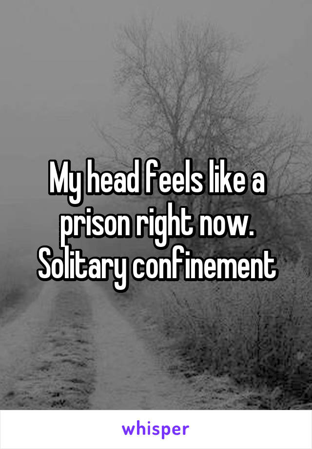 My head feels like a prison right now. Solitary confinement