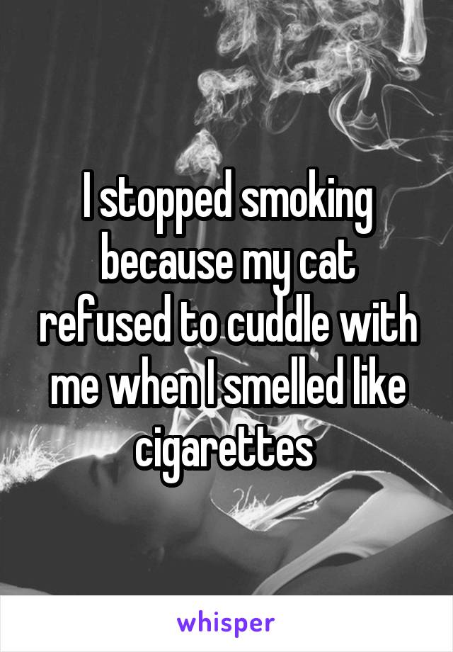 I stopped smoking because my cat refused to cuddle with me when I smelled like cigarettes 