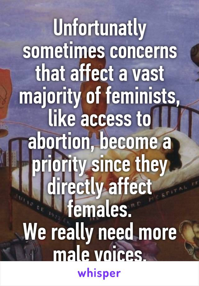 Unfortunatly sometimes concerns that affect a vast majority of feminists, like access to abortion, become a priority since they directly affect females.
We really need more male voices.