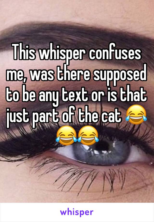 This whisper confuses me, was there supposed to be any text or is that just part of the cat 😂😂😂