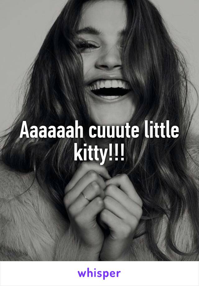 Aaaaaah cuuute little kitty!!!