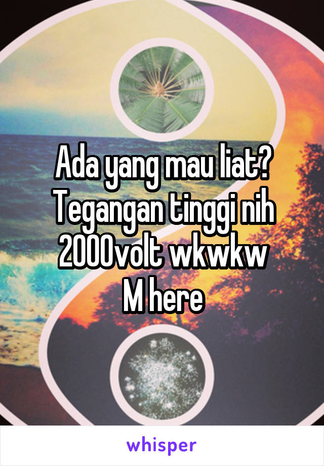 Ada yang mau liat? Tegangan tinggi nih 2000volt wkwkw
M here