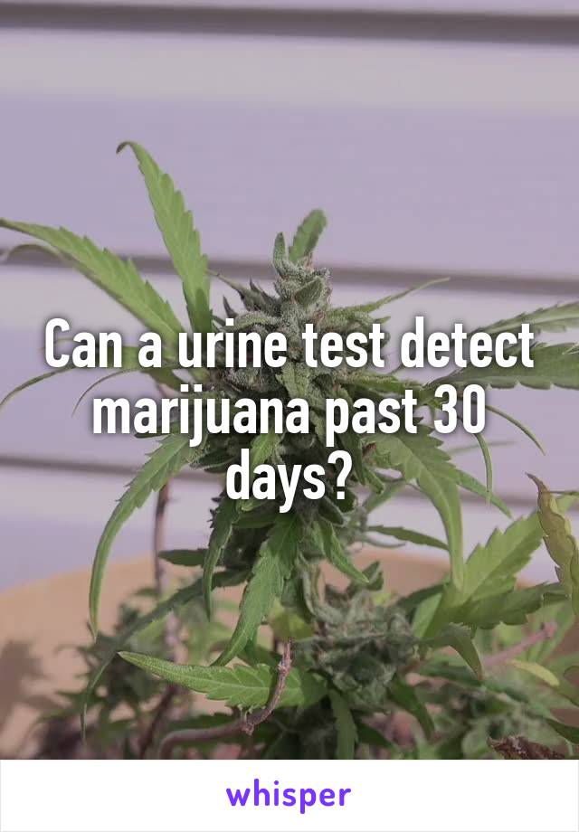 Can a urine test detect marijuana past 30 days?