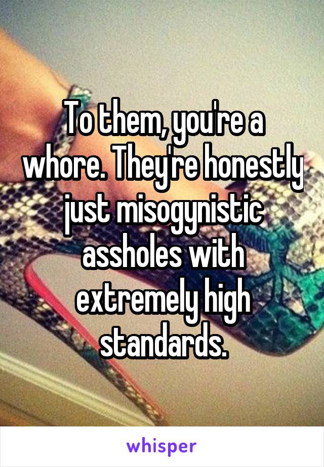 To them, you're a whore. They're honestly just misogynistic assholes with extremely high standards.