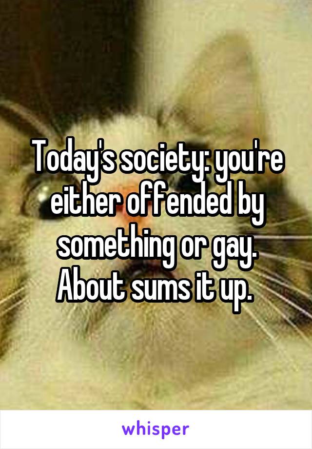 Today's society: you're either offended by something or gay. About sums it up. 