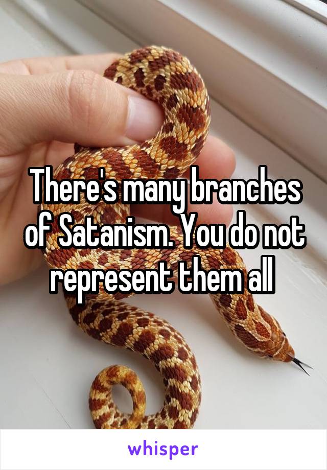 There's many branches of Satanism. You do not represent them all 