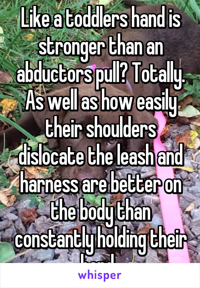 Like a toddlers hand is stronger than an abductors pull? Totally. As well as how easily their shoulders dislocate the leash and harness are better on the body than constantly holding their hand..