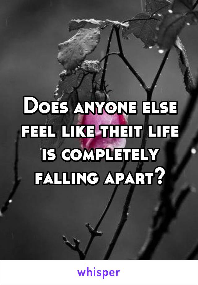 Does anyone else feel like theit life is completely falling apart?