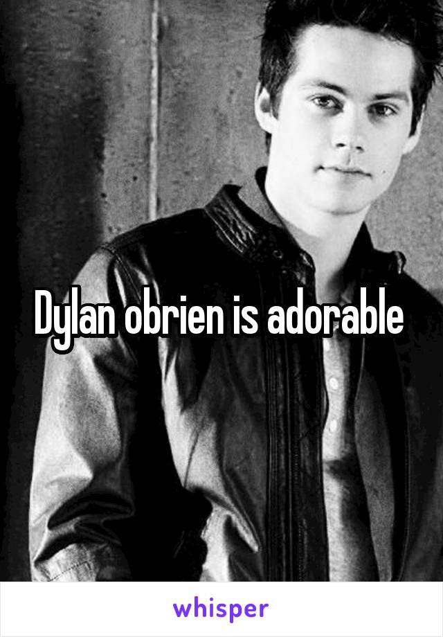 Dylan obrien is adorable 