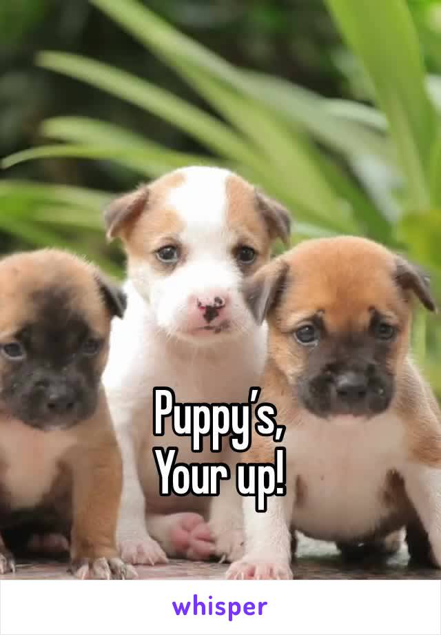 Puppy’s,
Your up!