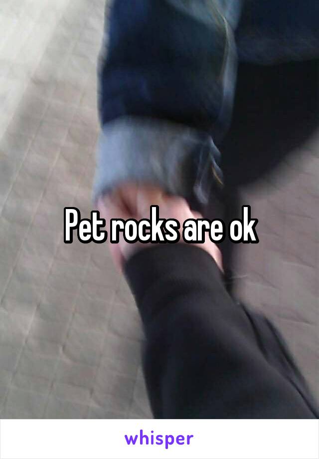 Pet rocks are ok