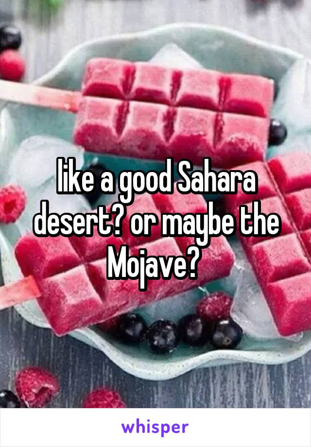 like a good Sahara desert? or maybe the Mojave? 