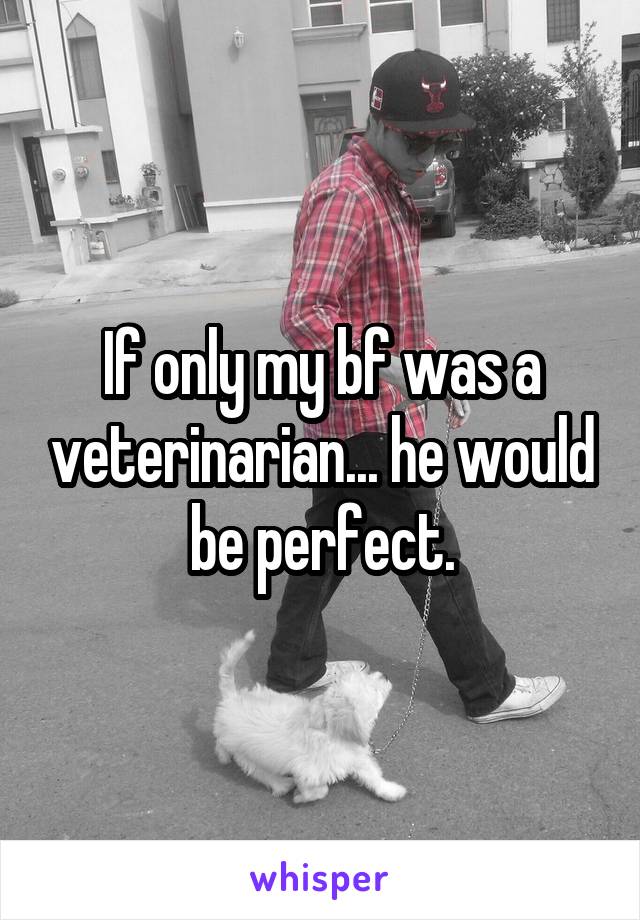 If only my bf was a veterinarian... he would be perfect.