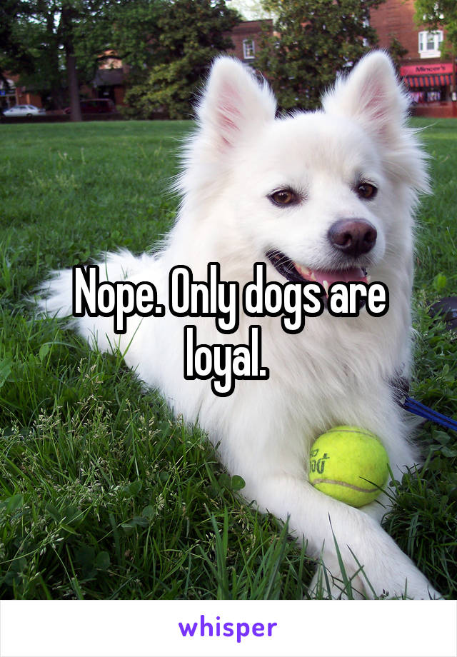 Nope. Only dogs are loyal. 