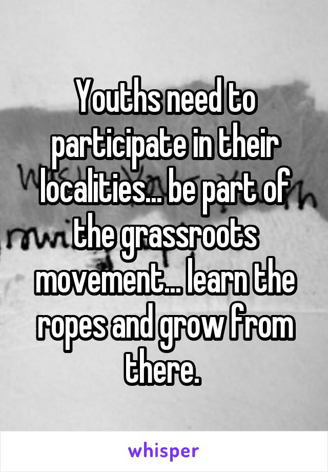 Youths need to participate in their localities... be part of the grassroots movement... learn the ropes and grow from there. 