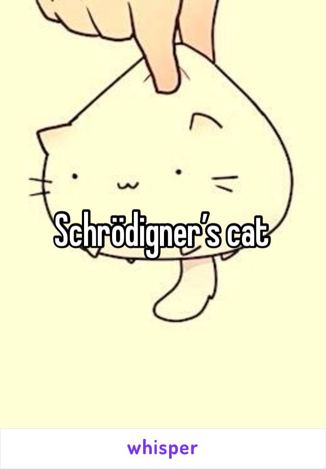 Schrödigner’s cat