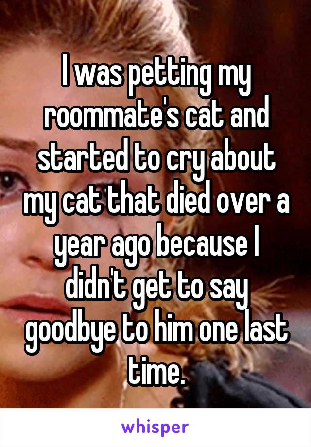 I was petting my roommate's cat and started to cry about my cat that died over a year ago because I didn't get to say goodbye to him one last time.