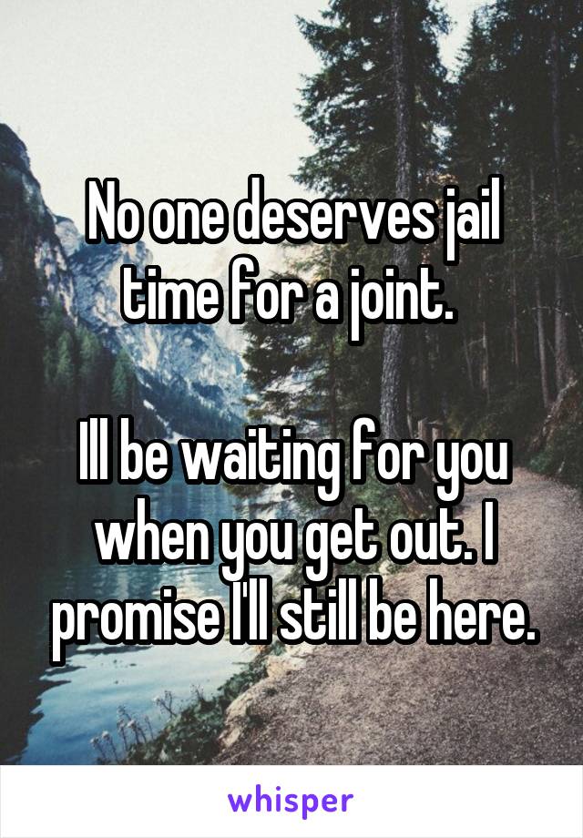 No one deserves jail time for a joint. 

Ill be waiting for you when you get out. I promise I'll still be here.