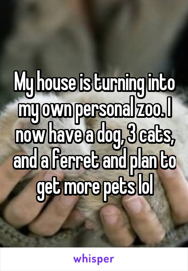 My house is turning into my own personal zoo. I now have a dog, 3 cats, and a ferret and plan to get more pets lol