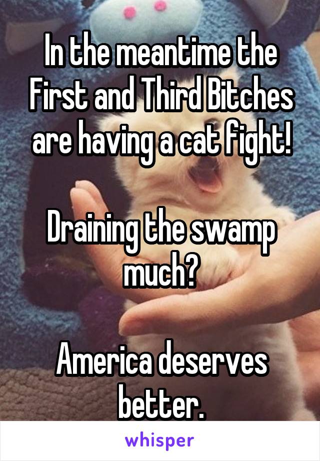 In the meantime the First and Third Bitches are having a cat fight!

Draining the swamp much?

America deserves better.