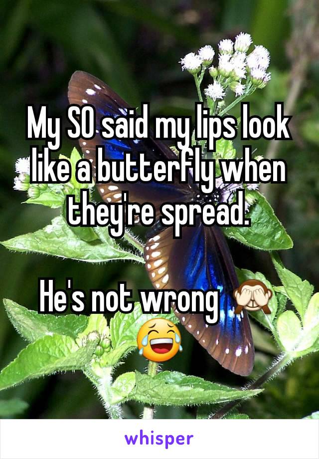 My SO said my lips look like a butterfly when they're spread.

He's not wrong 🙈😂