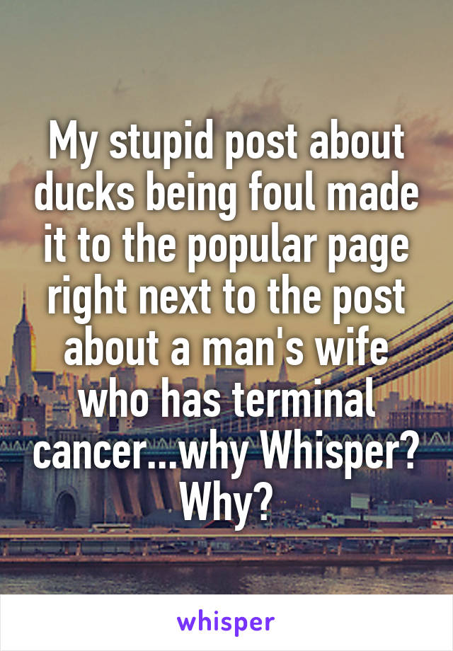 My stupid post about ducks being foul made it to the popular page right next to the post about a man's wife who has terminal cancer...why Whisper? Why?