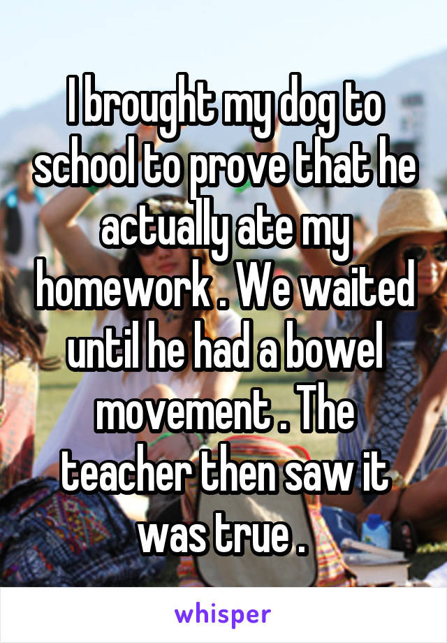 I brought my dog to school to prove that he actually ate my homework . We waited until he had a bowel movement . The teacher then saw it was true . 