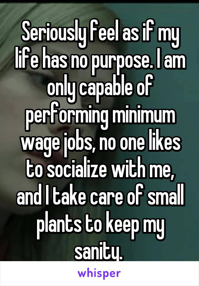 Seriously feel as if my life has no purpose. I am only capable of performing minimum wage jobs, no one likes to socialize with me, and I take care of small plants to keep my sanity. 