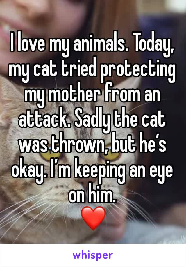 I love my animals. Today, my cat tried protecting my mother from an attack. Sadly the cat was thrown, but he’s okay. I’m keeping an eye on him.
❤️