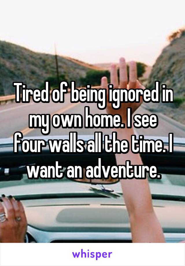 Tired of being ignored in my own home. I see four walls all the time. I want an adventure.